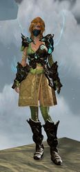 Leystone armor (medium) human female front.jpg