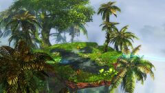 Matriarch's Nest.jpg
