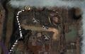Thumbnail for version as of 10:11, 5 May 2022