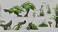 Plants