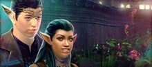 Pointed Ears Package banner.jpg
