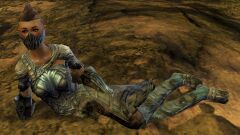Priory Explorer Nala.jpg