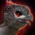 Roadrunner Raptor Skin.png