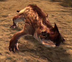 Rock Drake Hatchling.jpg
