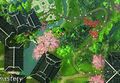 Thumbnail for version as of 14:42, 11 March 2022