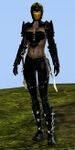 Norn female thief.