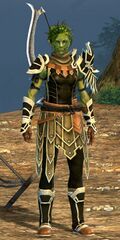 Vigil sylvari male medium 1.jpg