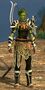 Sylvari male