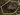 Wildflame Caverns map.jpg