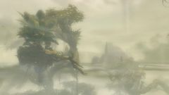 Canopy over Nobles Crash Site.jpg