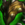 Feathered Vestments.png