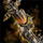 Gargoyle Rifle.png
