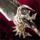 Legionnaire Greatsword.png