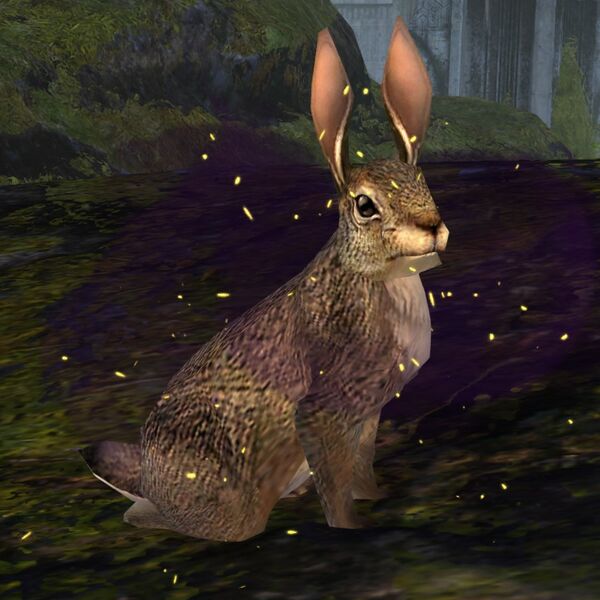 File:Rabbit (Sickly).jpg