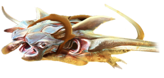 Skimmer.png
