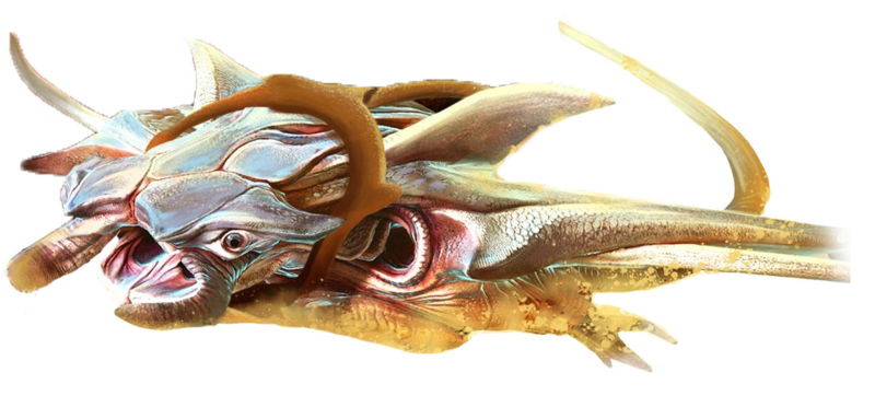 File:Skimmer.png