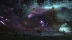 The Infestation.jpg