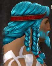 Unique norn male hair side 17.jpg