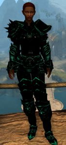 Appearance on heavy armor.