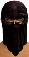 Anonymity Mask.jpg