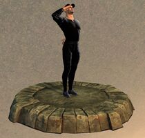 Armor Display Case Salute.jpg