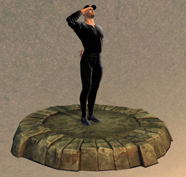 File:Armor Display Case Salute.jpg
