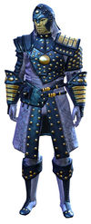 Ascalonian Sentry armor sylvari male front.jpg