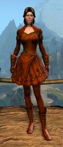 Appearance on light armor.