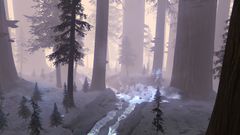 Griffon Old Growth.jpg