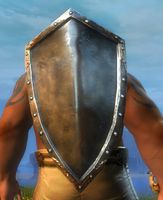 Guild Defender clear.jpg