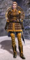 Lionguard Inka.jpg