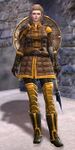 Lionguard Inka.jpg