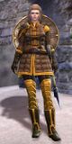 Lionguard Inka.jpg