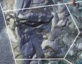Thumbnail for version as of 13:55, 9 February 2020