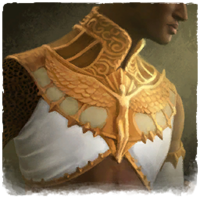 Sanctified Coat Skin banner.png