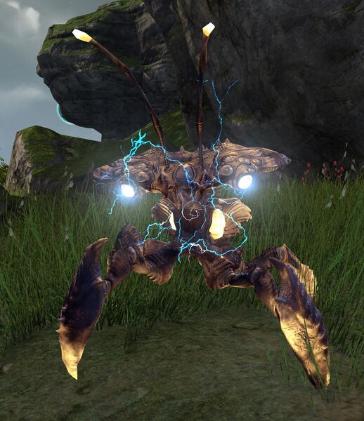 File:Sky-Chak Drone.jpg