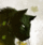 User Neil2250 Cat lover.gif