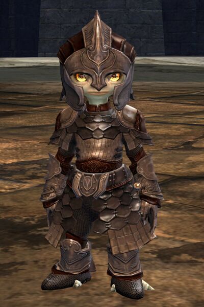 File:Veteran Protector.jpg