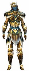 Arborist armor sylvari male front.jpg