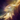 Aurene's Bite.png