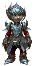 Ceremonial Plated Outfit