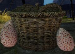 Egg Basket.jpg