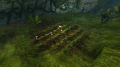 Hidden garden farm.jpg