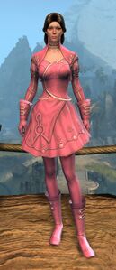 Appearance on light armor.