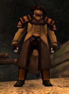 Lionguard norn medium 4 (weaponless).jpg