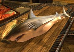 Marinated Shark Meat (Grothmar Valley).jpg