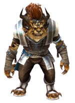Monk's Outfit