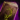 Nevermore Vol. 4.png
