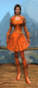 Appearance on light armor.