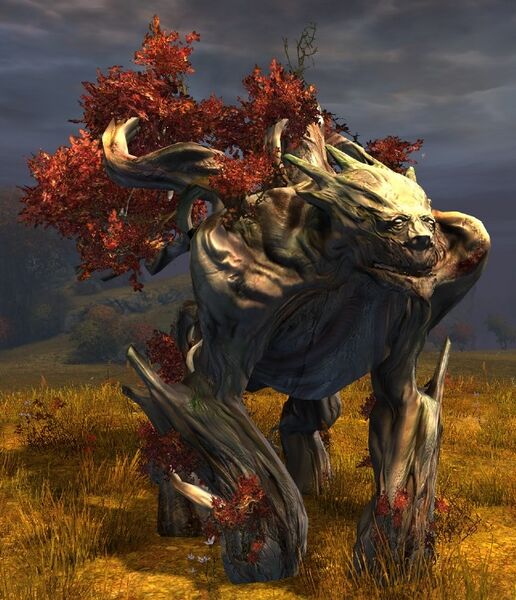 File:Red-Leafed Oakheart.jpg